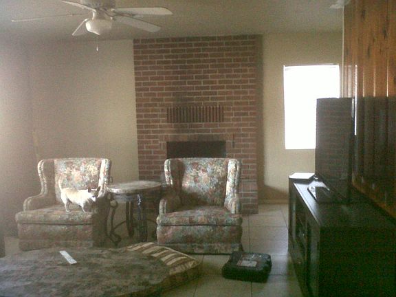 Wood Burning Fireplace