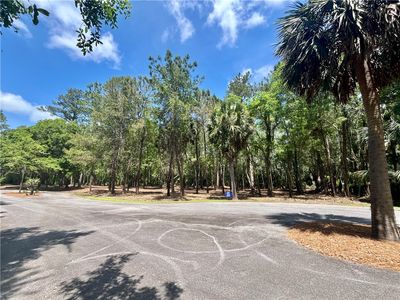 LOT 14 Carnochan Dr, Darien, GA, 31305
