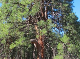 1021 Stone Hollow Loop, Williams, AZ 86046