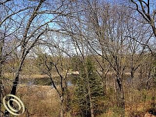 2nd image of 8680 Tamarack Dr