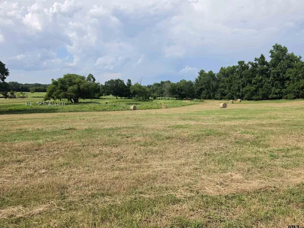 22479 Old Tyler Hwy, Troup, TX 75789