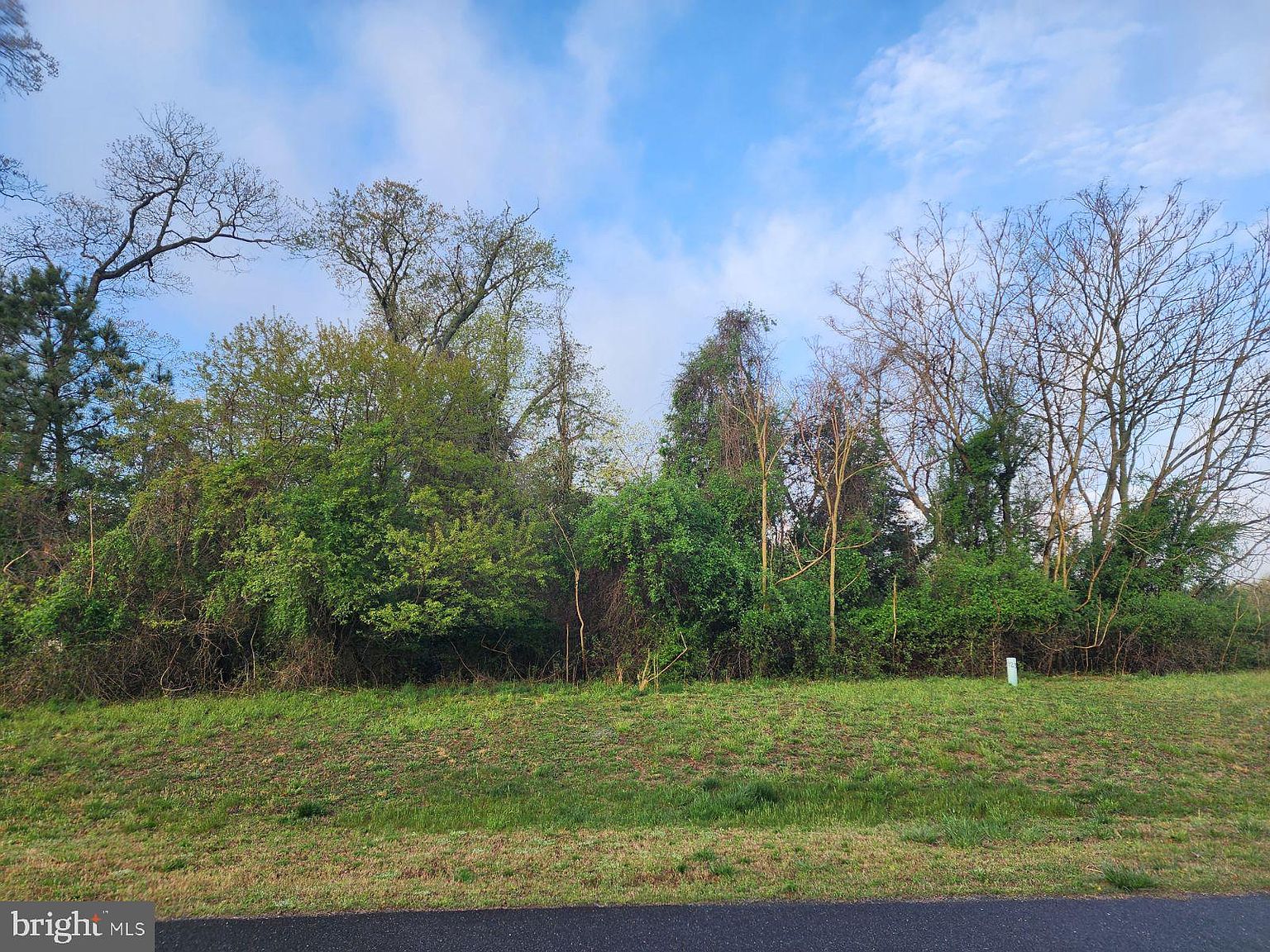 35597 Peregrine Rd, Lewes, DE 19958 | Zillow