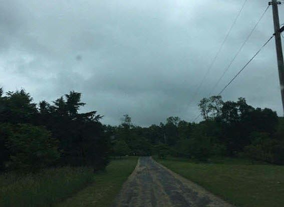 2nd image of 648 White Pine Ln