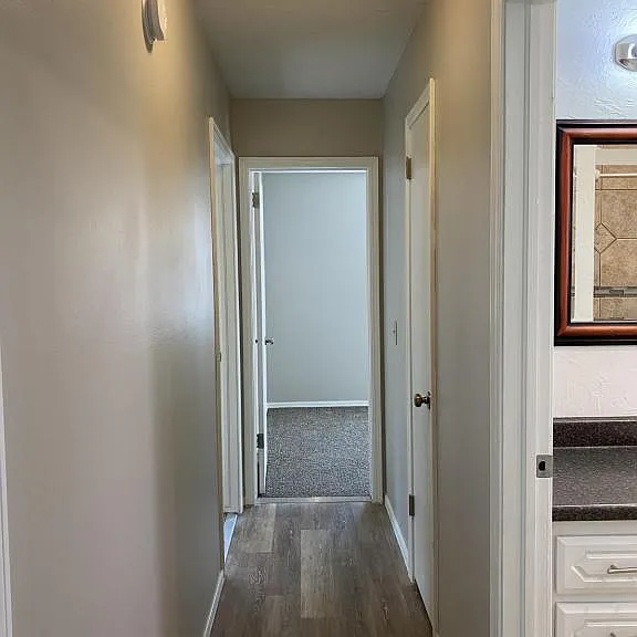 15744 County Road 1570 — Photo 17