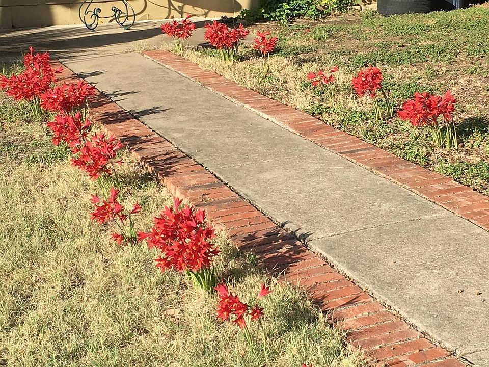 Front entrance sidewalk