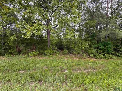 Tbd Highway 43, Jefferson, TX, 75657