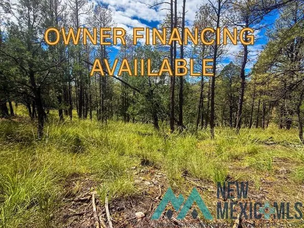 20 Marlin Dr, Timberon, NM 88350