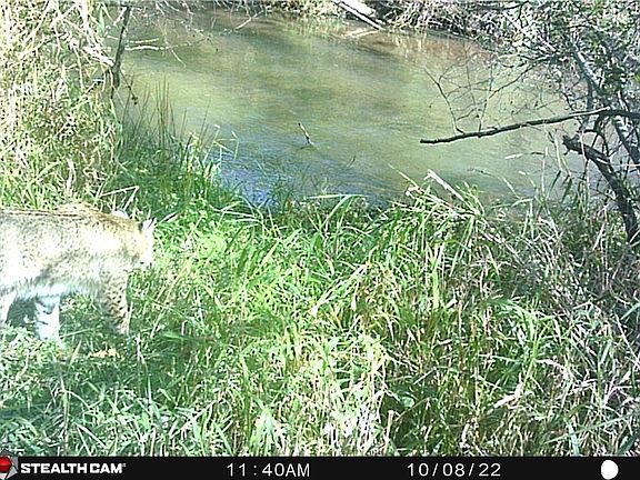 2nd image of 0 S Lowes Creek Road