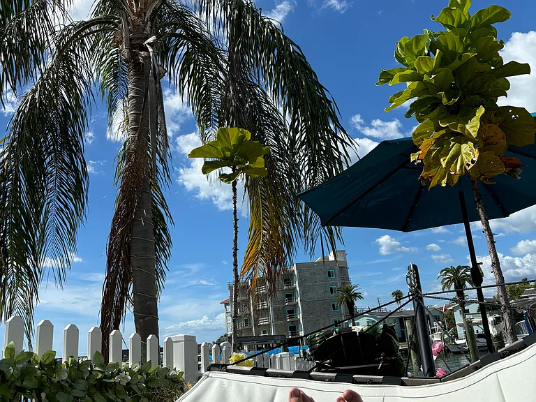252 Dolphin Point #C — Photo 13