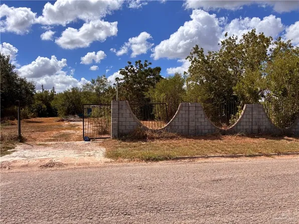 1214 Coyote St, Donna, TX 78537