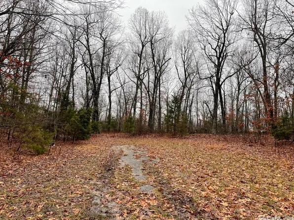 509/511 S Shore Dr, Horseshoe Bend, AR 72512