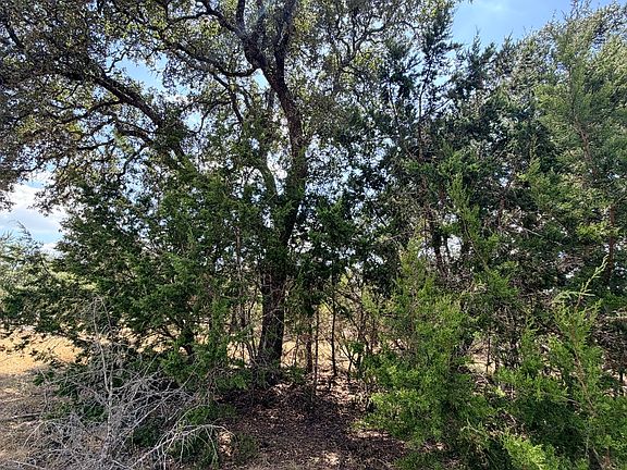 3rd image of 463 Lantana Mesa LOT 8