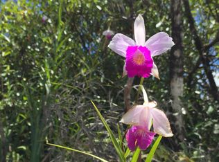 HAW Rr 4, Kurtistown, HI 96760