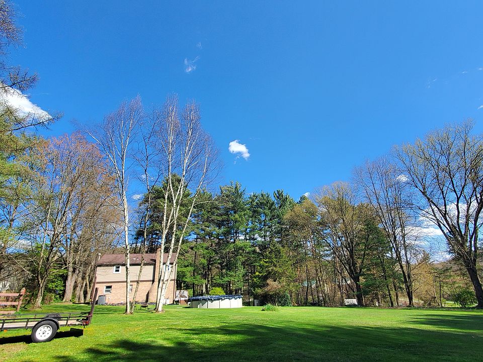 230 Brownshill rd - Backyard