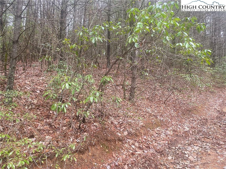 2nd image of TBD Rich Hill Mountain Road