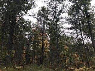 9439 Outing Pl, Grayling, MI 49738