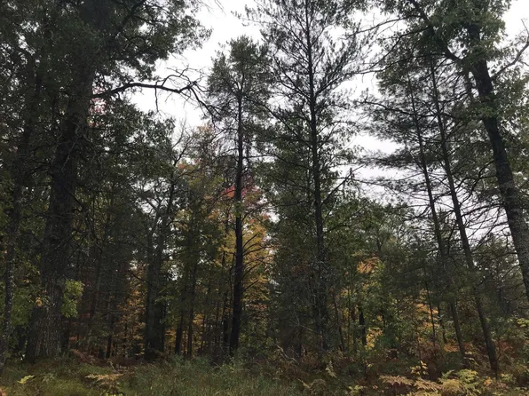 9439 Outing Pl, Grayling, MI 49738