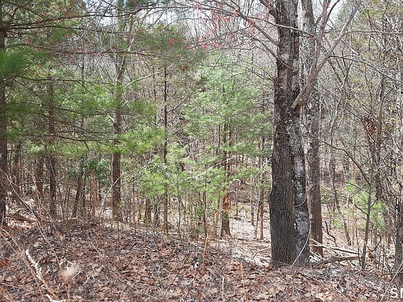 3rd image of Lot 03-2 New Sweden Road