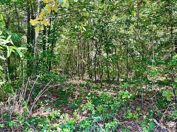 2nd image of County Road 4814