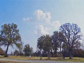 1st image of 3225 Golden Oaks Cir