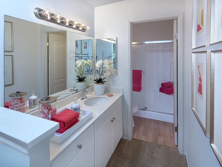 Turtle Rock Vista Apartment Homes — Photo 22