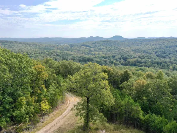 6425 Gorby Rd, Calico Rock, AR 72519