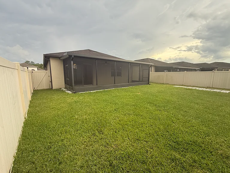 Backyard
