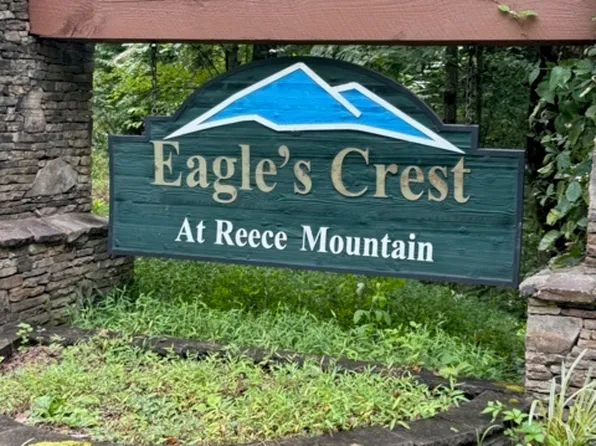 Lts 43 & 44 Reece Mountain Rd, Ellijay, GA 30536