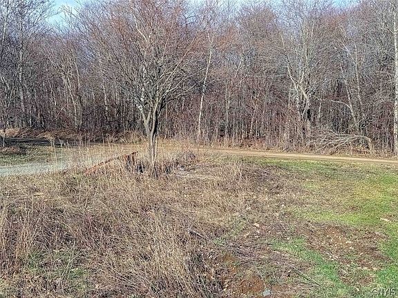 5th image of 2407 Timmerman Rd