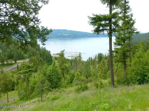 6 Flying Eagle Dr, Harrison, ID 83833