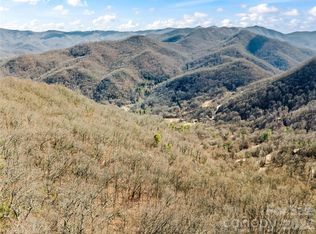 31 Reillys Bluff Rd #2, Barnardsville, NC 28709