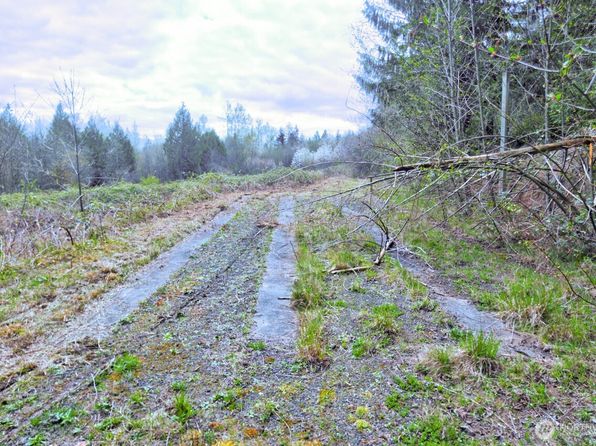 706 Jorgensen Rd Road, Onalaska, WA 98570