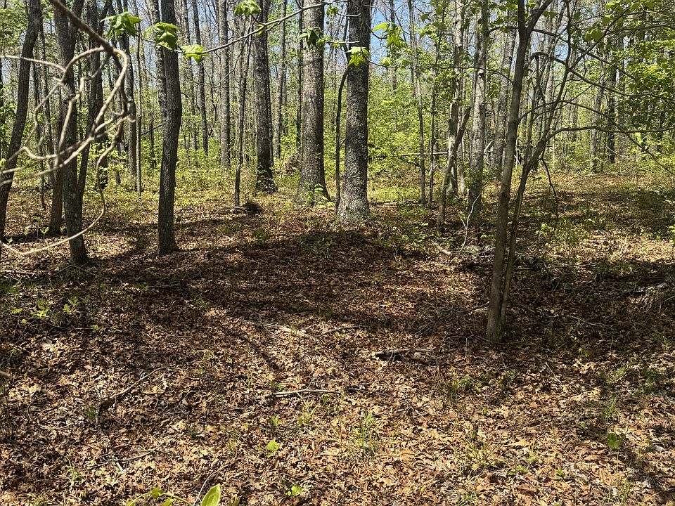 2nd image of 0 Doe Creek Loop