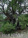 5th image of 34 County Road 2277 (Nbl Mtn Est) Road #4