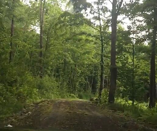 3rd image of 485 Town Forest Road Ext