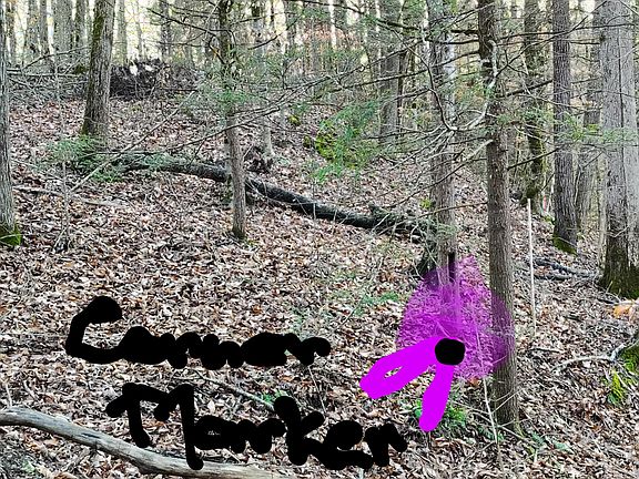 5th image of 907 Sharp Rd