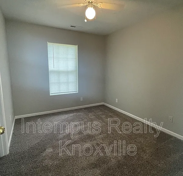 3119 Pinex Ln — Photo 23