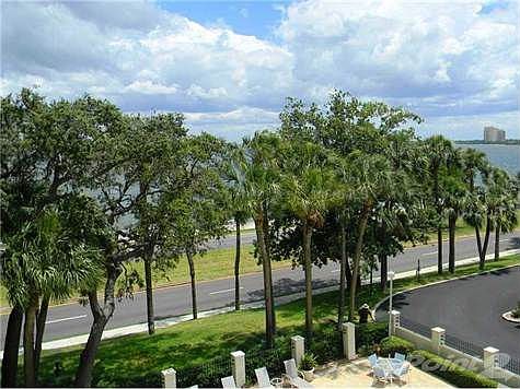 1st image of 2611 Bayshore Blvd APT 402