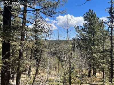 167 Lake Dr, Divide, CO, 80814