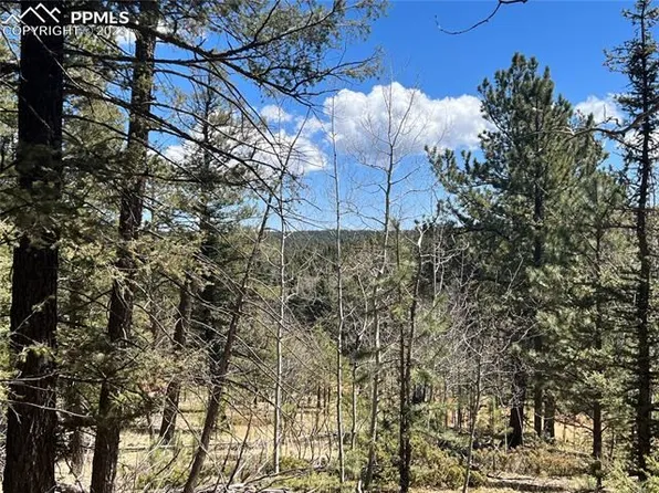 167 Lake Dr, Divide, CO 80814