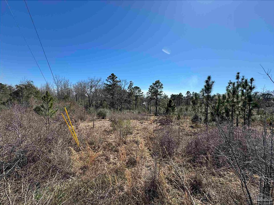 2nd image of LOT 4 Will Jones Rd