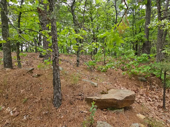 W Middle Mountain Rd, Talihina, OK 74571