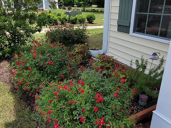 3rd image of 115 Wineberry Way