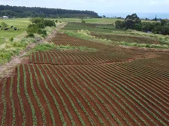 5th image of 28-561 Opua Lot 8