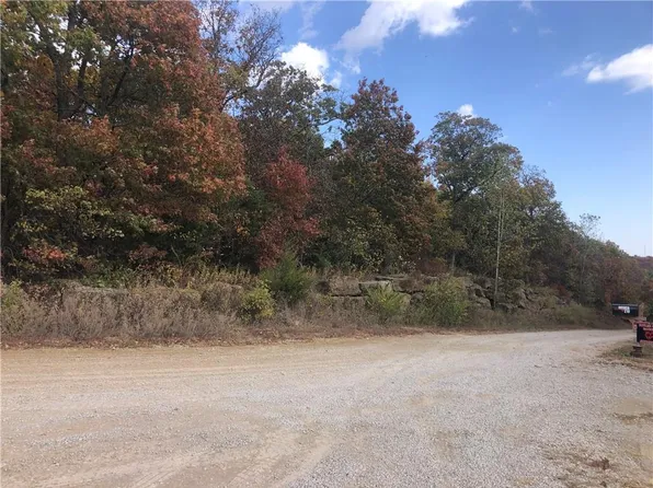 SE Rattlesnake Ln, Butler, MO 64730