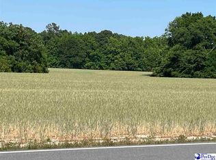 Dunbar Hwy, Blenheim, SC 29516