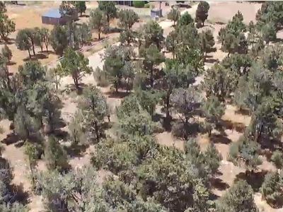 46838 Lakeview Rd, Big Bear City, CA, 92314