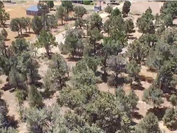 46838 Lakeview Rd, Big Bear City, CA 92314