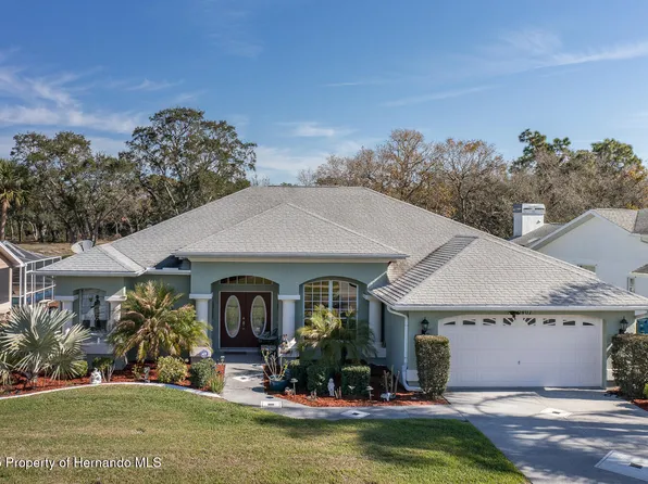 10407 Audie Brook Dr, Spring Hill, FL 34608
