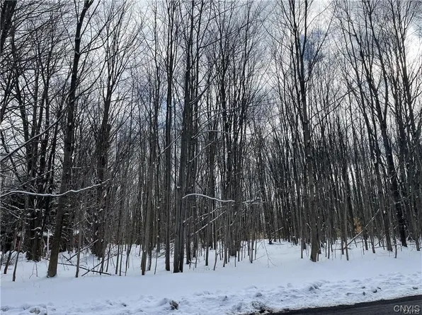 0 Cemetery Dr #3, Hannibal, NY 13074